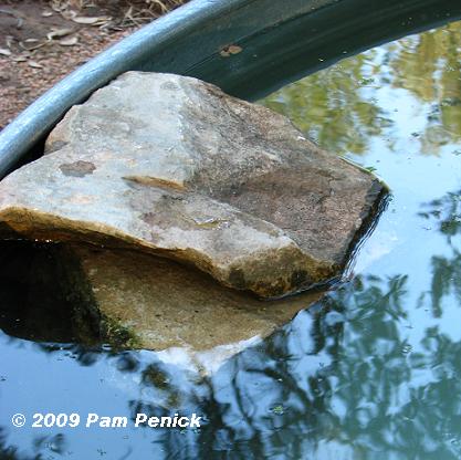 estanque acuático piedras