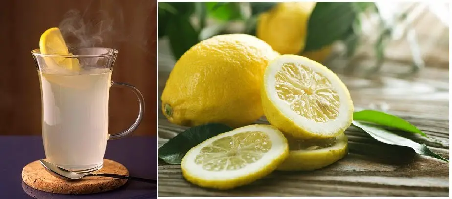 beber agua tibia con limón
