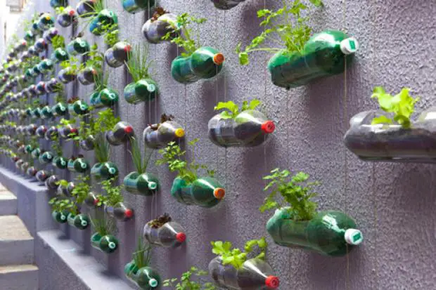 un jardin colgante con botellas pet