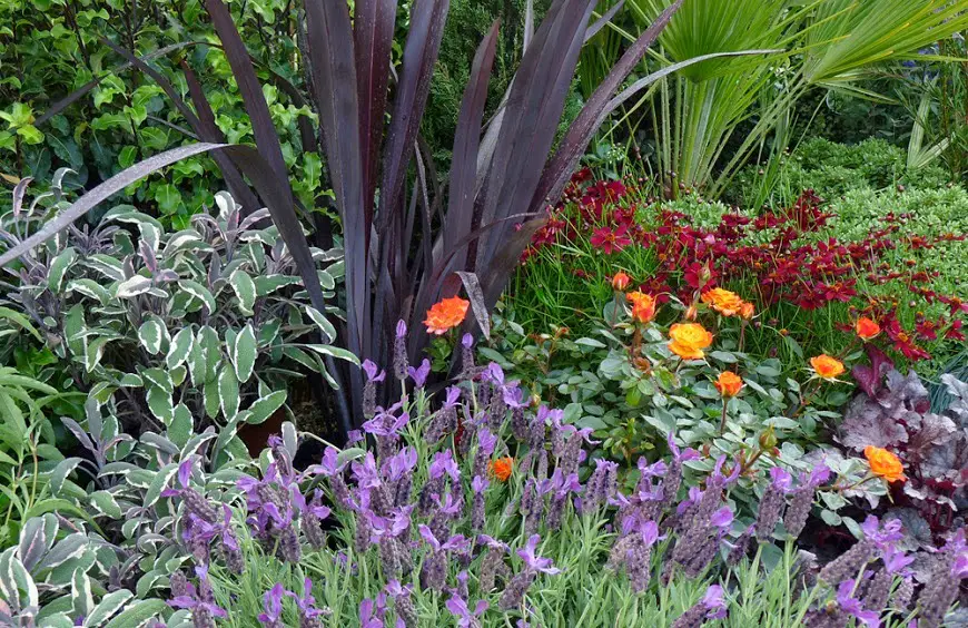 jardín de plantas aromáticas