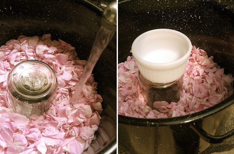 Cómo hacer agua de rosas para cosmética natural2
