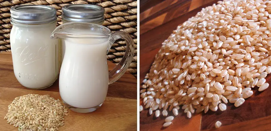 Haz tu propia leche de arroz o substituto de leche de vaca
