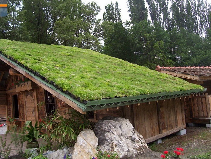 techo verde