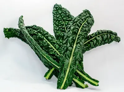 Kale plus d'aliments alcalins