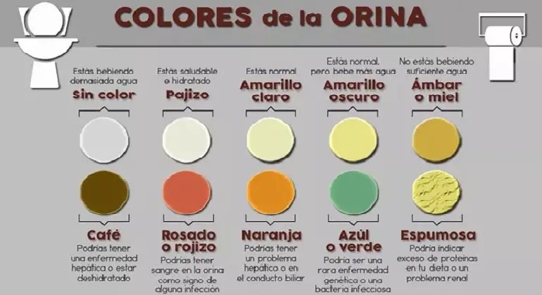 colores en la orina