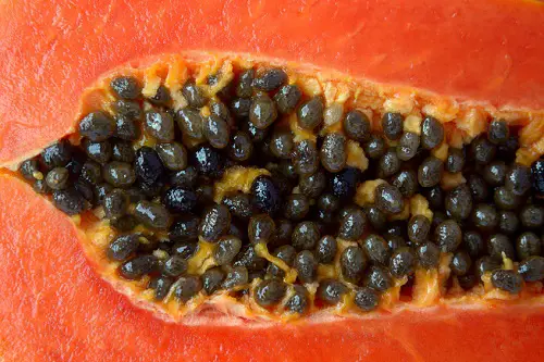 Papaya semillas