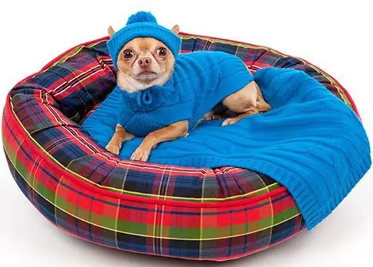 cama para mascotas colchón