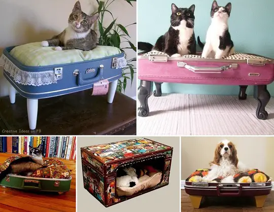 camas para mascotas maletas