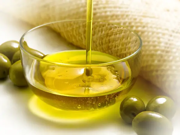 aceite de oliva aceitunas grasas