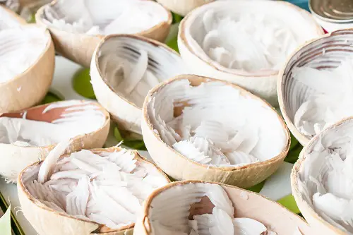 yogur vegano de coco