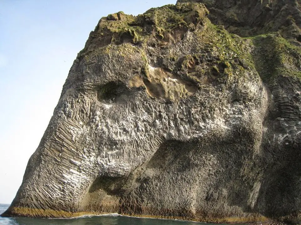 elefante en una roca