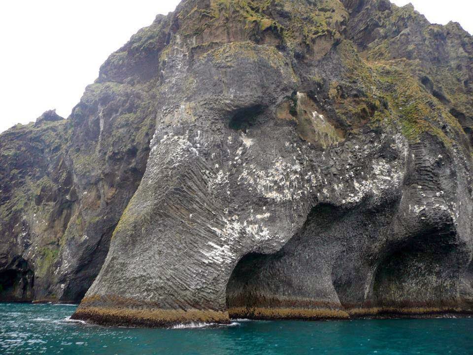 Elefante en la isla de Heimaey en Islandia