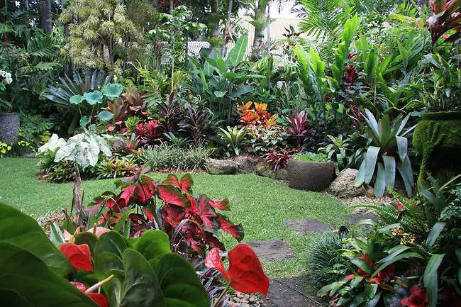 jardín tropical colorido