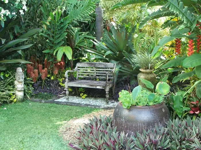 jardín de plantas tropicales