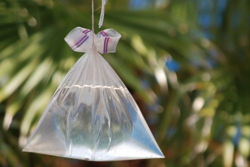 bolsa de agua para moscas