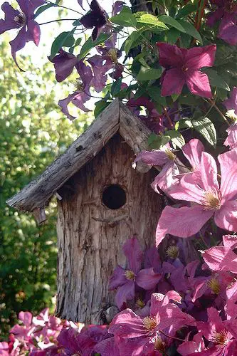 casa para pájaros decorativos jardín