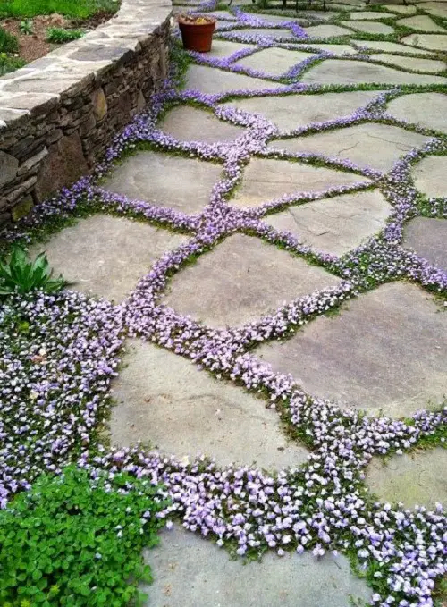 camino de piedra decoración jardín