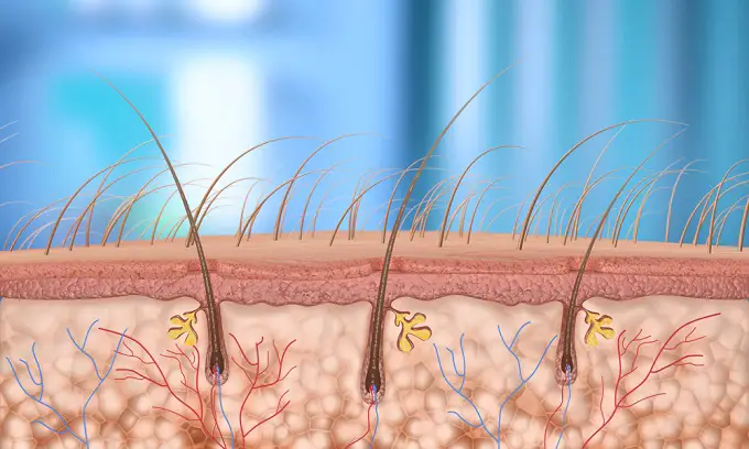 vitaminas biotina crecimiento del cabello