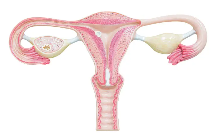 desequilibrio hormonal ovarios
