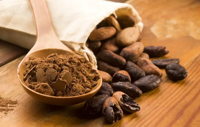 cacao para prevenir el envejecimiento cerebral