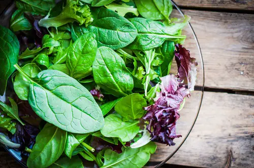 verduras de hoja verde en la dieta alcalina. ideales para desintoxicar y depurar nuestro organismo