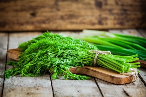 alimentos ricos en magnesio eneldo