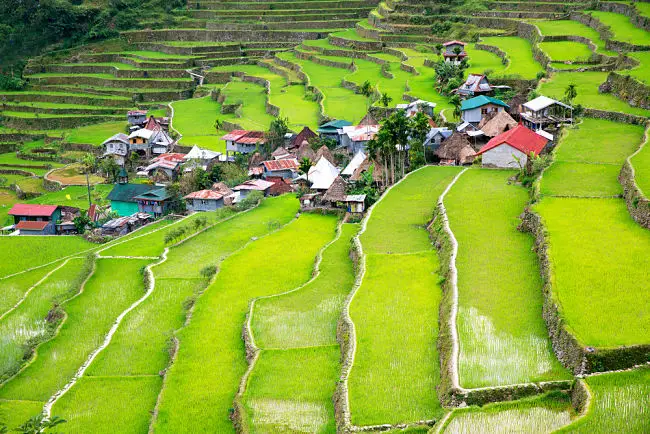 Las terrazas de arroz en Filipinas