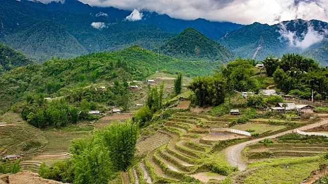Montaña campos de arroz en Laos