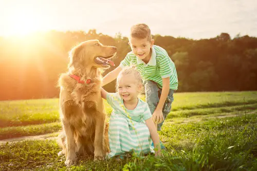 Una familia disfrutando de un paseo con su perro