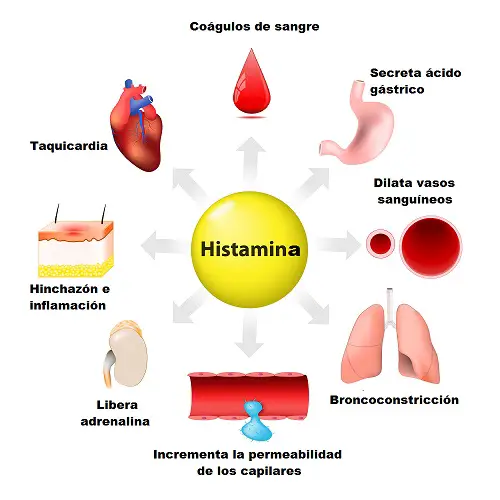 histamina ilustración poster