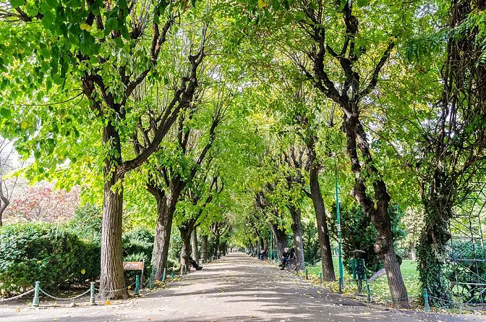 Parque en Bucarest 
