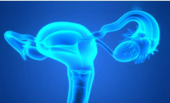 Imagen del cuello uterino