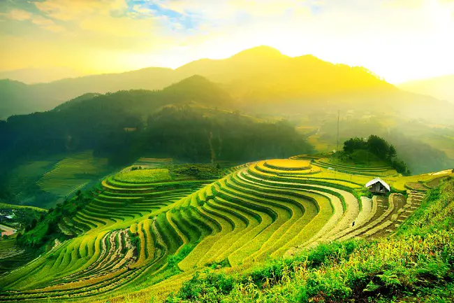 campos-de-arroz