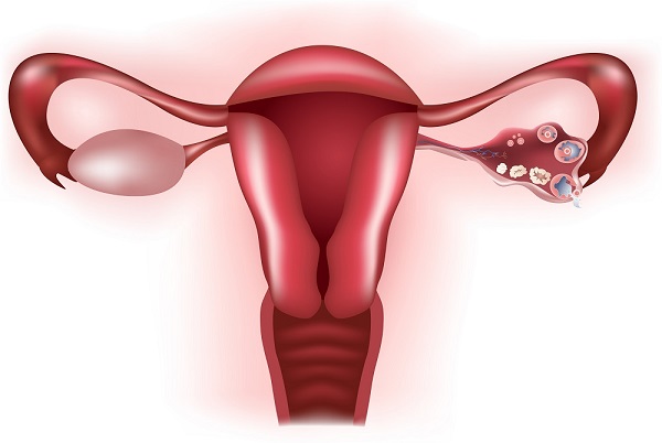 flujo vaginal ovulación