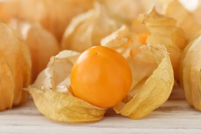 Deliosa fruta de golden berry para conseguir bajar de peso