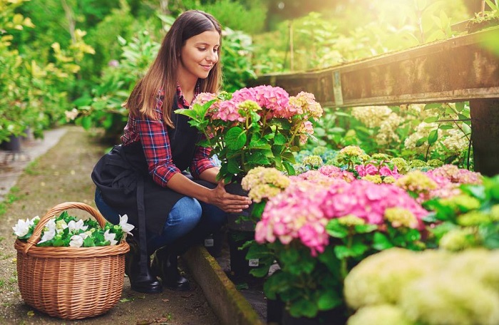 mujer captada al hacer jardinería en su casa con flores