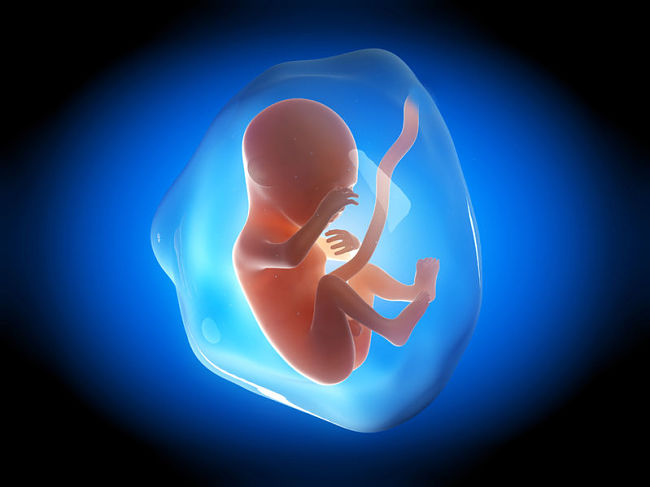 Bebé flotando en el vientre