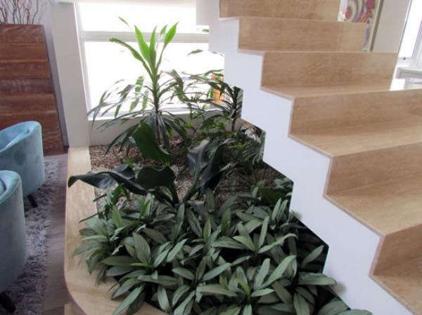 jardín verde debajo de la escalera con luz natural