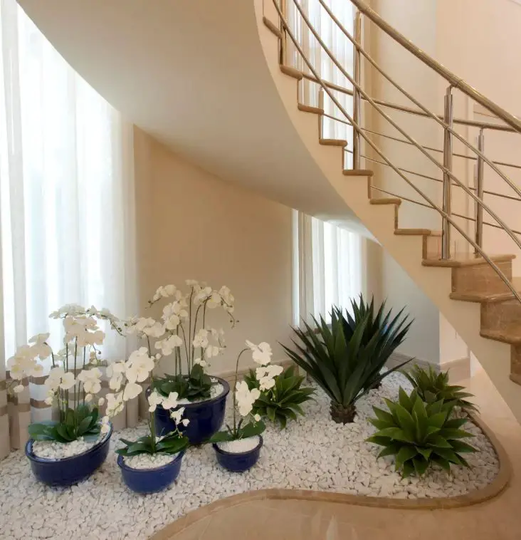 jardín sencillo abajo de la escalera con iluminación natural