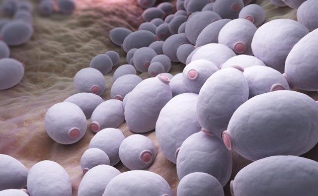 infección en la piel por micosis cutánea