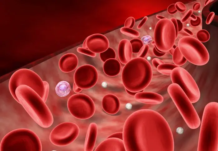 plaquetas en la sangre