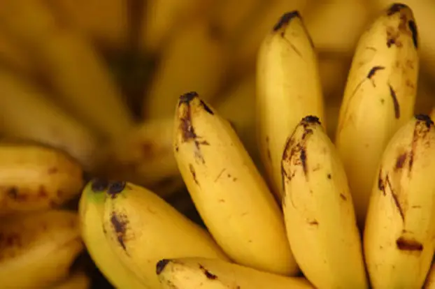beneficios de los plátanos para la pérdida del cabello