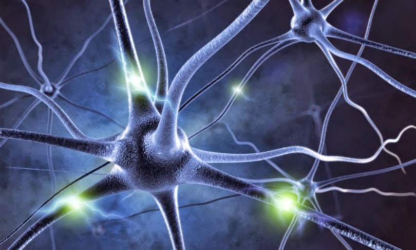 neuronas en el cerebro deterioradas demencia