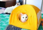 Casa para gatos con material reciclado