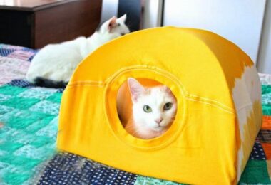 Casa para gatos con material reciclado