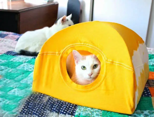 Casa para gatos con material reciclado