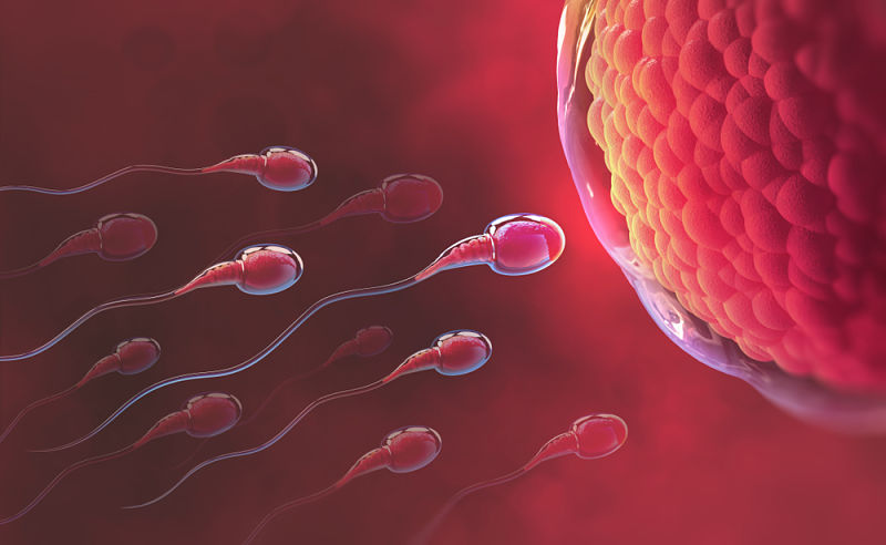 Calidad de espermas reducida por coronavirus COVID-19