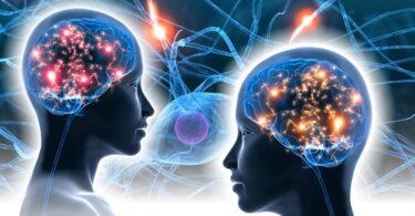 Los efectos del sexo sobre el cerebro