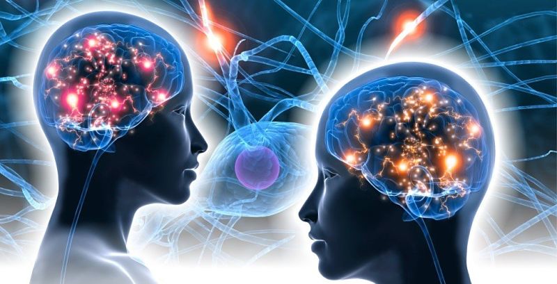 Los efectos del sexo sobre el cerebro