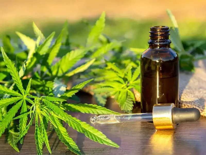Beneficios del aceite de cannabis para mejorar el rendimiento sexual